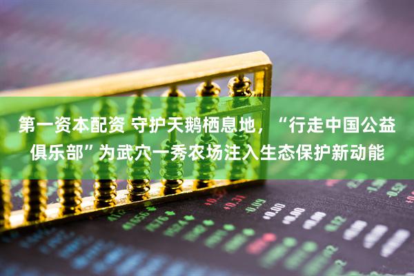 第一资本配资 守护天鹅栖息地，“行走中国公益俱乐部”为武穴一秀农场注入生态保护新动能